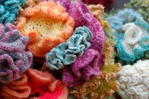  Плетени корални гребени 